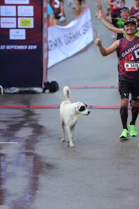 BIB: 2019, 5418
                            <button type="button" onclick="openModal(5746664)" class="btn btn-primary btn-sm float-right btn-popup" data-toggle="modal" data-target=".modal-high-quality">
                        <i class="fas fa-shopping-cart"></i> Add to Cart
                    </button>
                                            <button type="button" onclick="isThisMe(5746664, true)" class="btn btn-success btn-sm float-right btn-popup btn-isme hidden" data-toggle="tooltip" data-placement="bottom" title="นี่คือรูปของคุณใช่ไหม คลิกที่นี่เพื่อเอาเข้าอัลบั้ม">
                        <i class="fas fa-plus"></i> Add to album
                    </button>
                    <button type="button" onclick="isThisMe(5746664, false)" class="btn btn-warning btn-sm float-right btn-popup btn-isnotme hidden">
                        <i class="fas fa-ban"></i> Remove from album
                    </button>